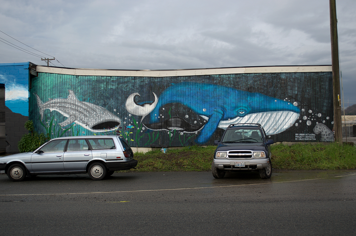 Whale art spray paint Mural Muralist animals painter