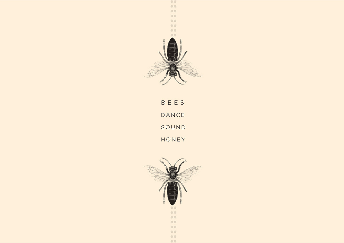 honey yellow sound danse dots black White package design bees bee design Behance art graphicdesign