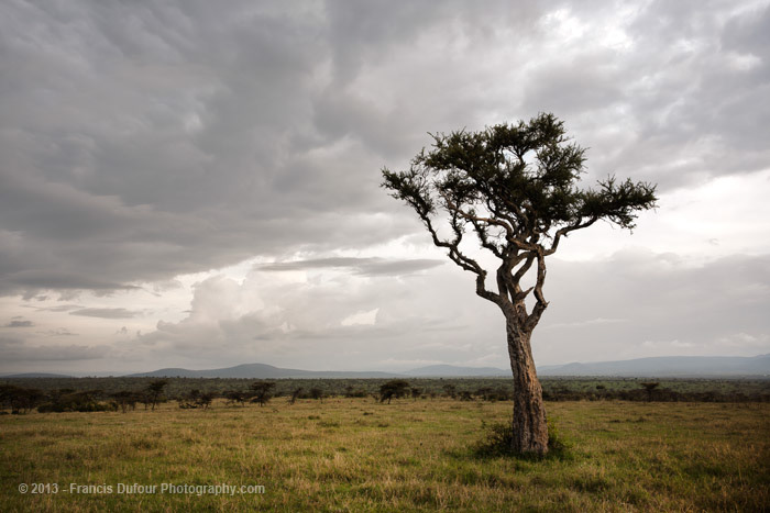 kenya Maasai Mara naboisho africa Travel Landscape people Savannah Plain Nature safari