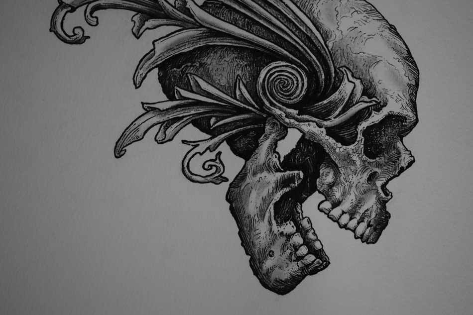 ink nibs pencils ILLUSTRATION  Ilustração Drawing  desenho skull caveira ornaments