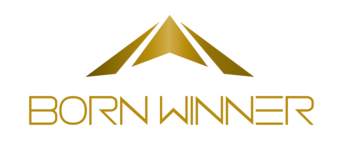 BornWinner Project instagram banner brand