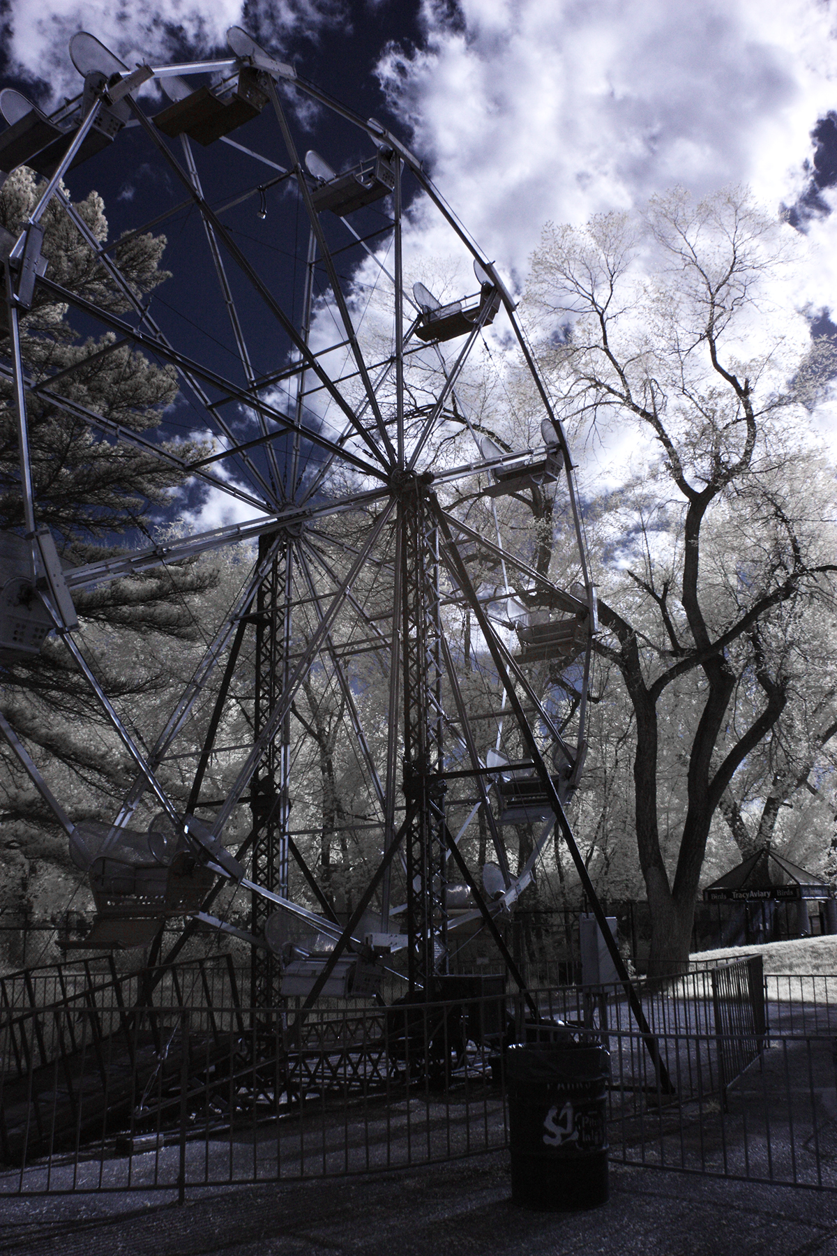 digital infrared black and white Park trees horse animal panorama Carnaval abandoned