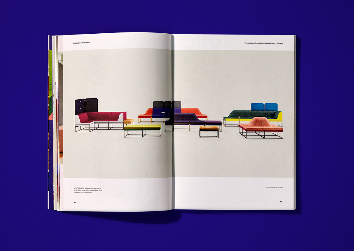 brand book publication graphic design  print Variable Printing publication design brand book