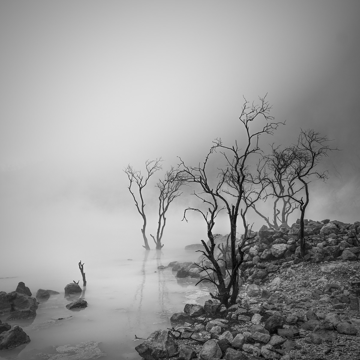 black and white Photography  Nature Landscape photoshoot Sony sonyalpha minimalist Minimalism FINEART