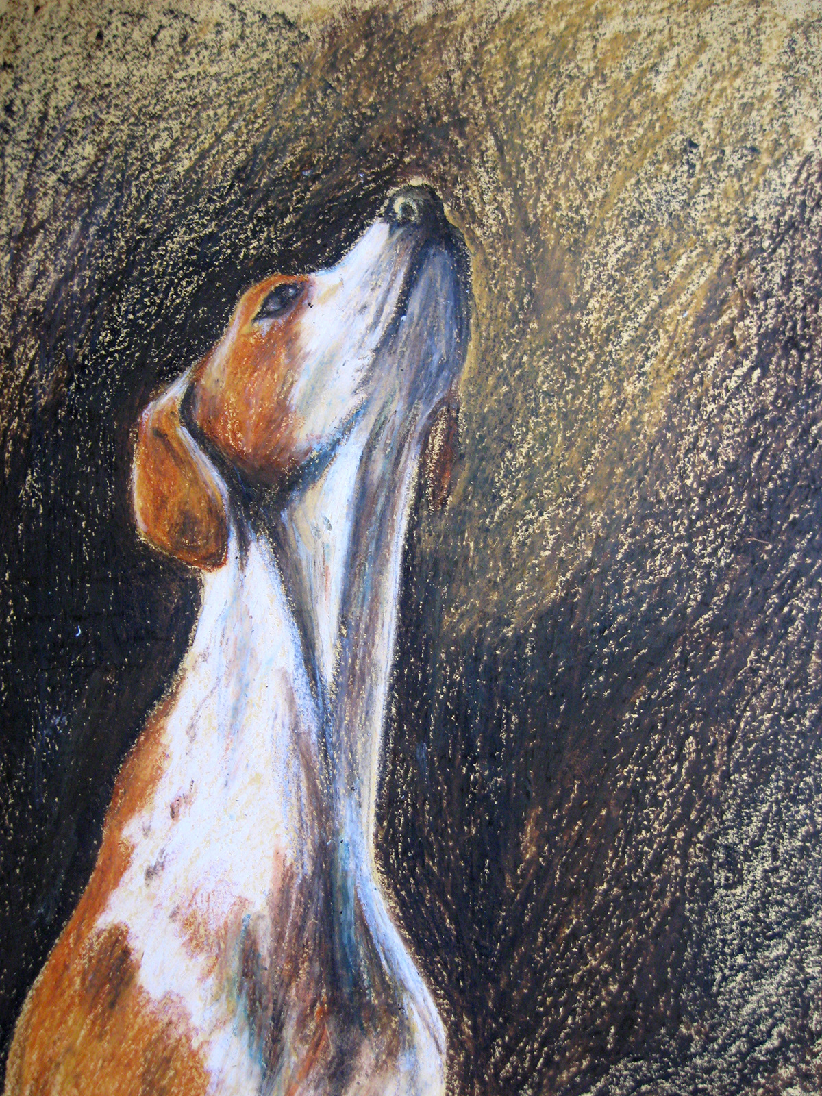 dog pen and ink watercolour dry pastel Dry pastels drawings sketches Cottage dogs portrait portraits still life Cricket Portraiture horses animals