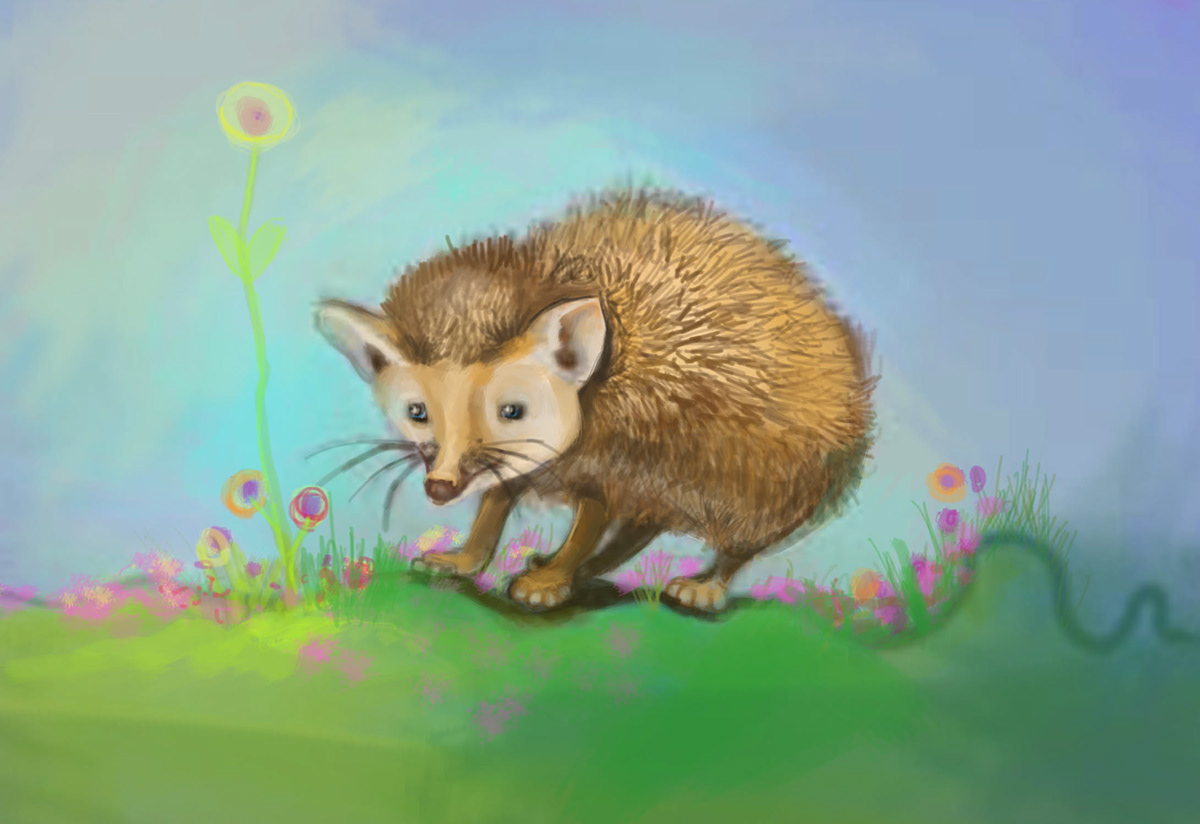 Hedgehog animal small animal hollie hulst digital painting