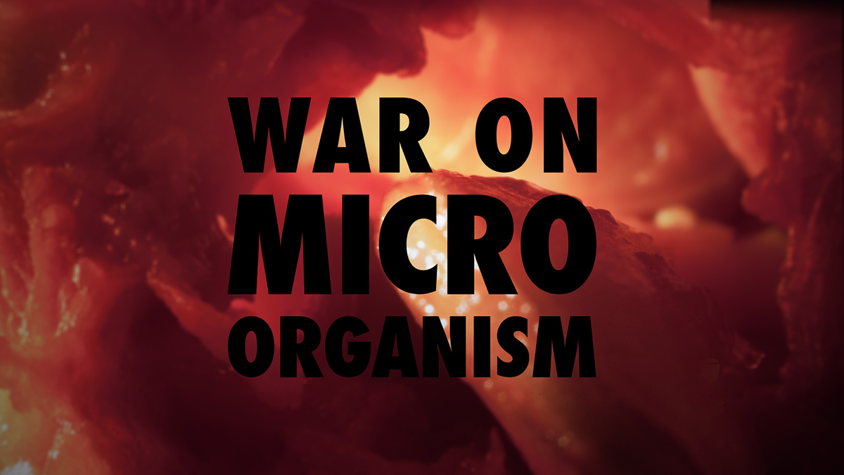microorganism War fight