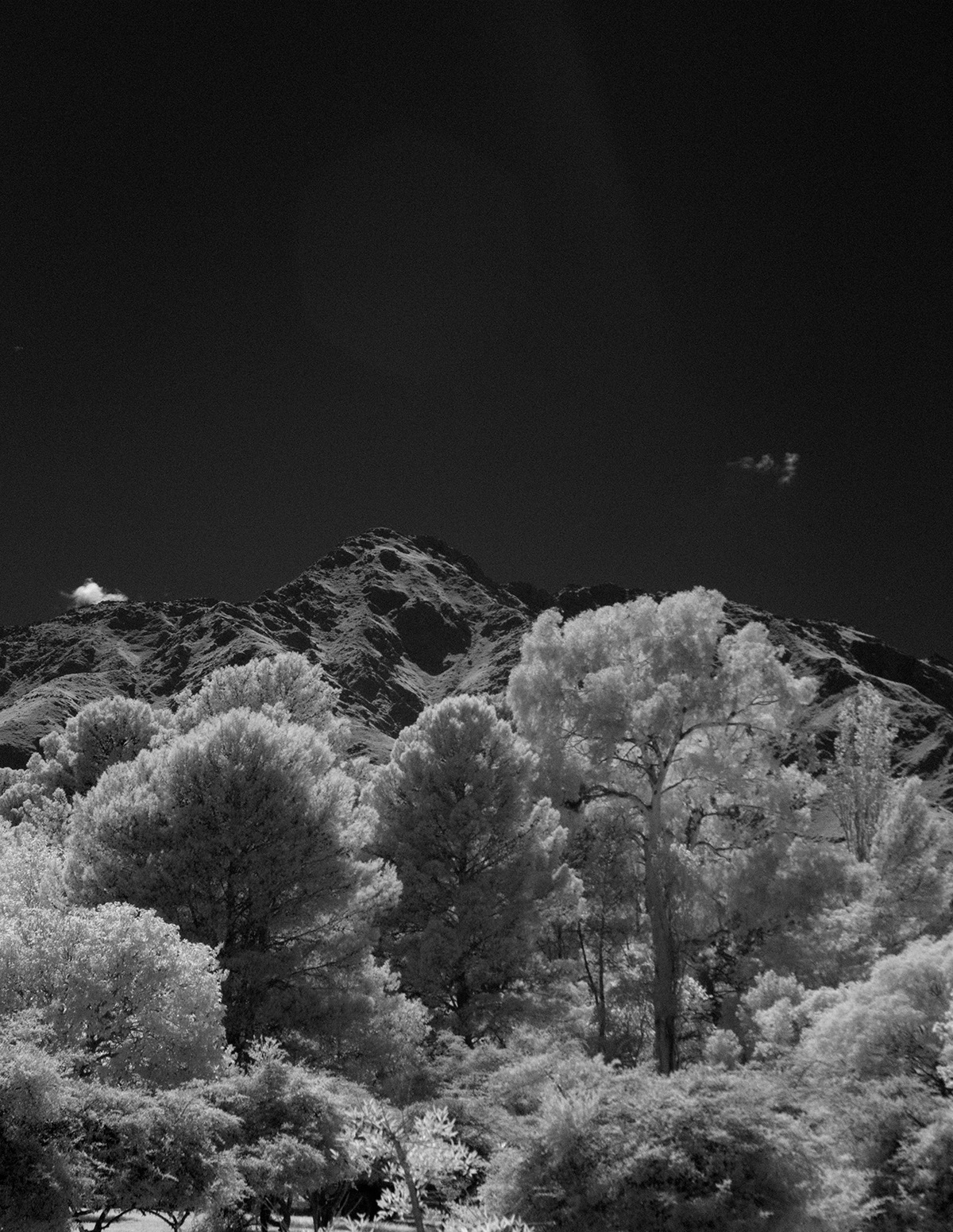 Forest Photography  Nature infra red photography argentina summer photography landscape photography