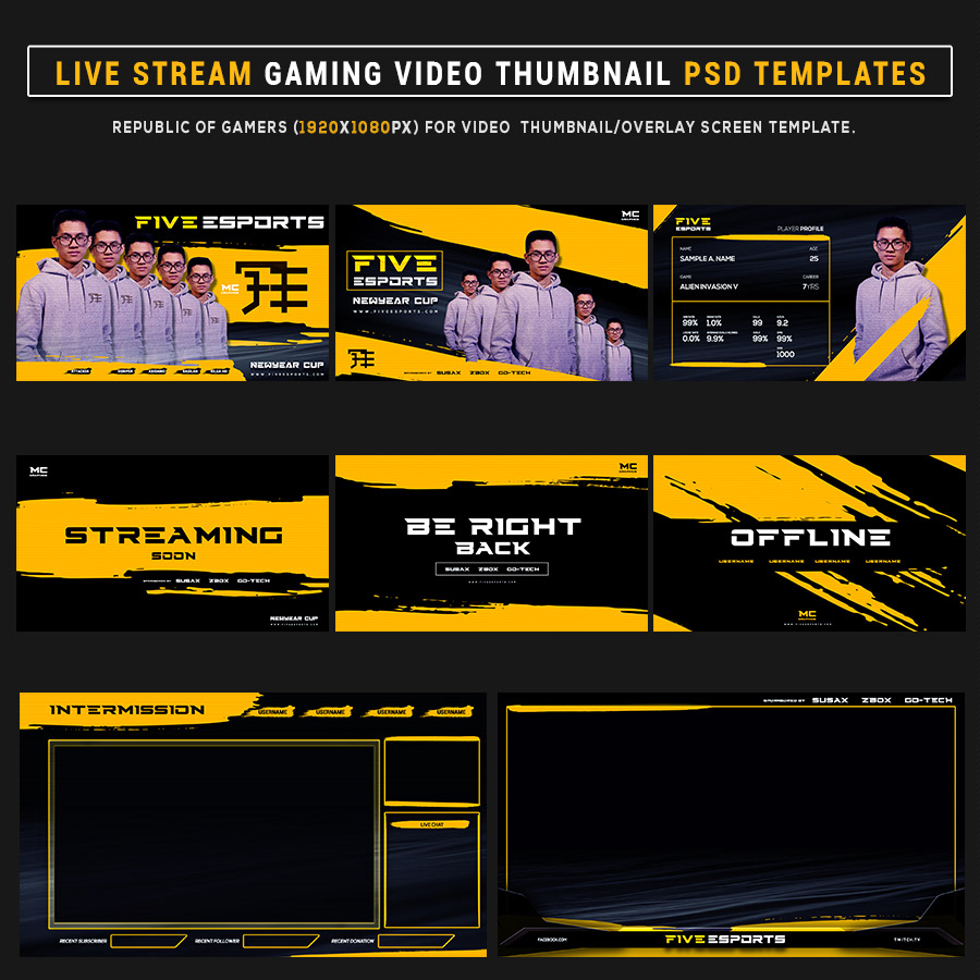 Cyberpunk esports Gamer gameready Gaming online game Overlay social media team profile Twitch