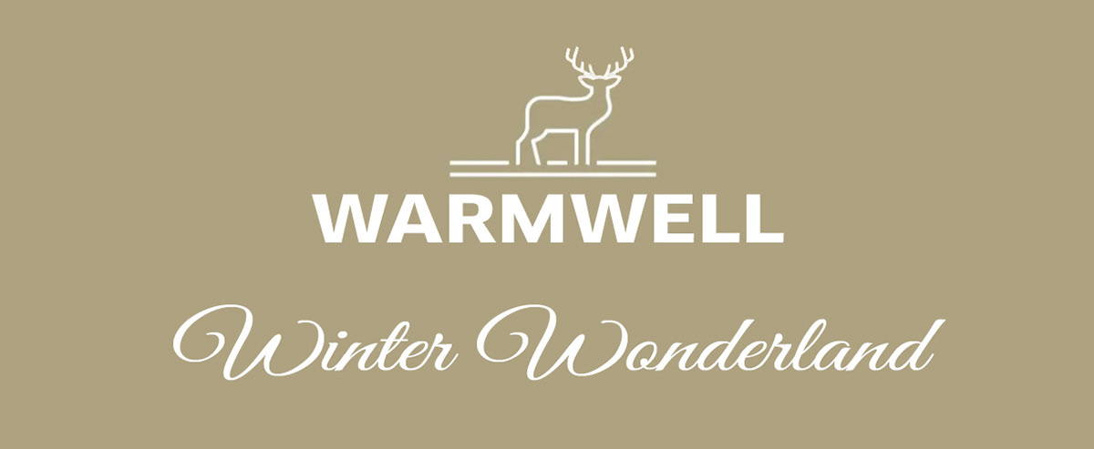 animation 3d marketing   motion graphics  video Christmas winter wonderland