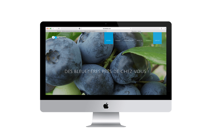 Préambule communication agency Website bleuet Fruit berry