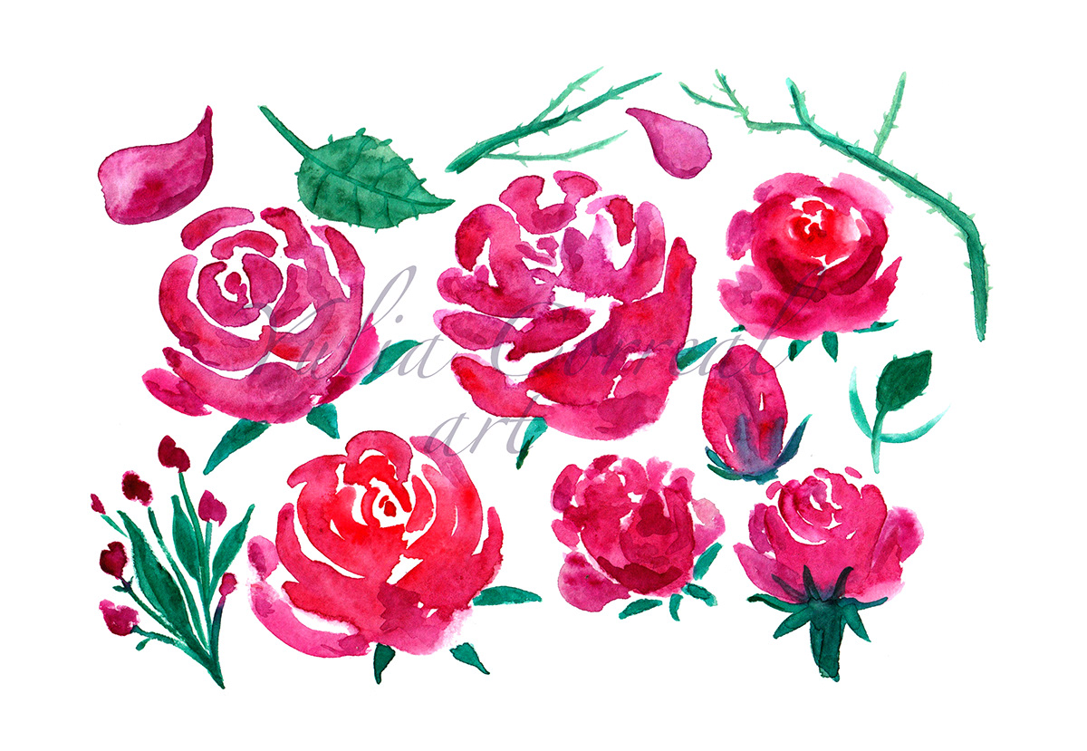 botanical Flowers blooming Watercolor painted petald pink garden floral bundle wedding elements Invitation