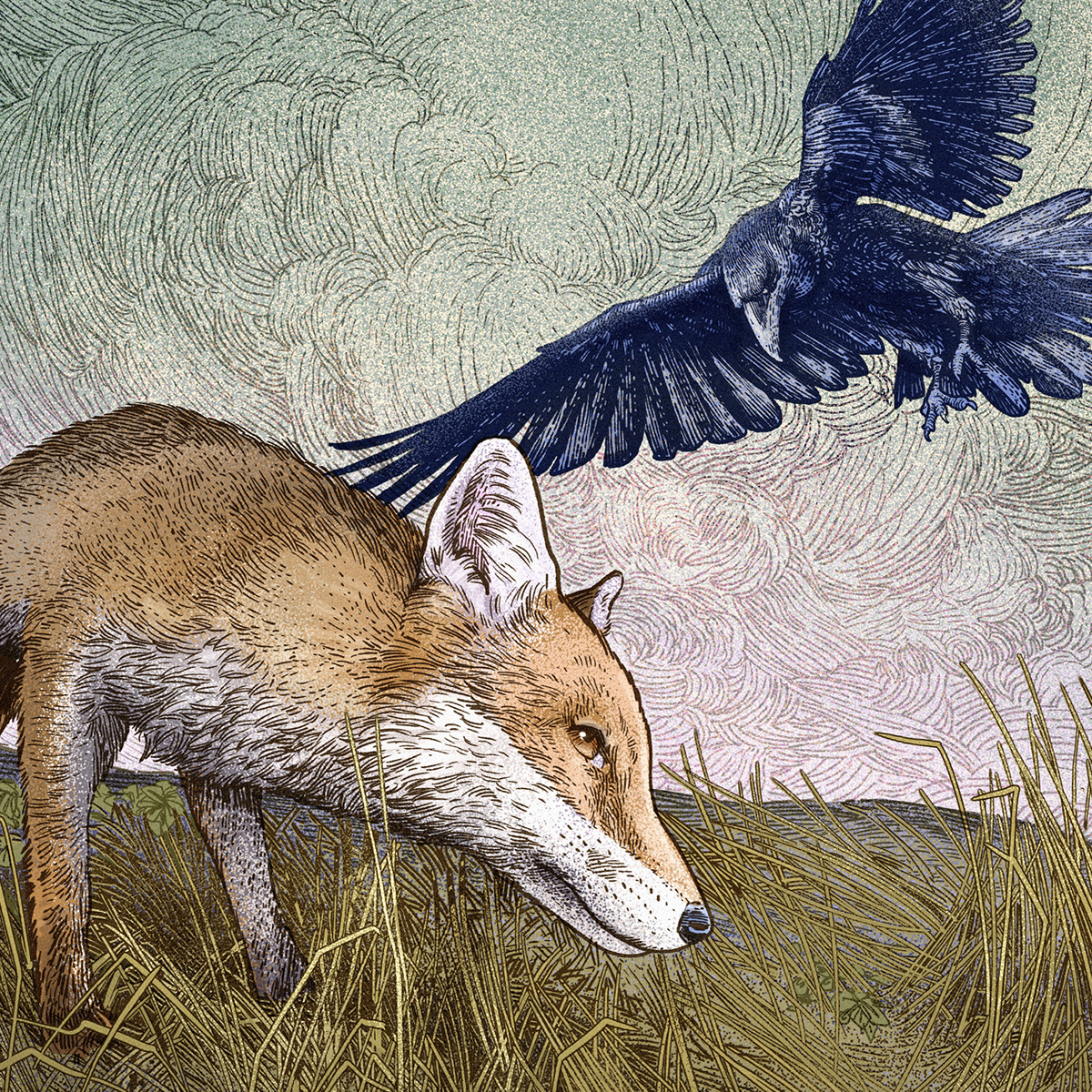 An illustration of a Fox and a Crow. Close-Up