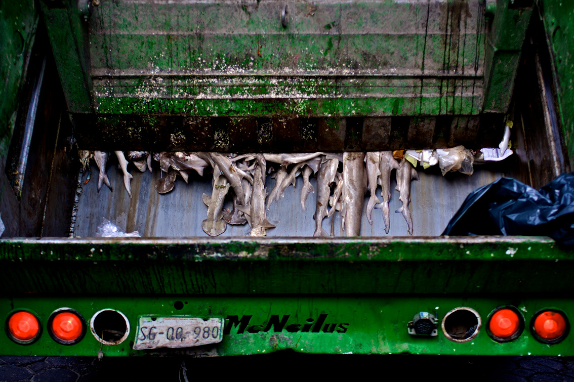 pollution garbage Landscape mexico puebla