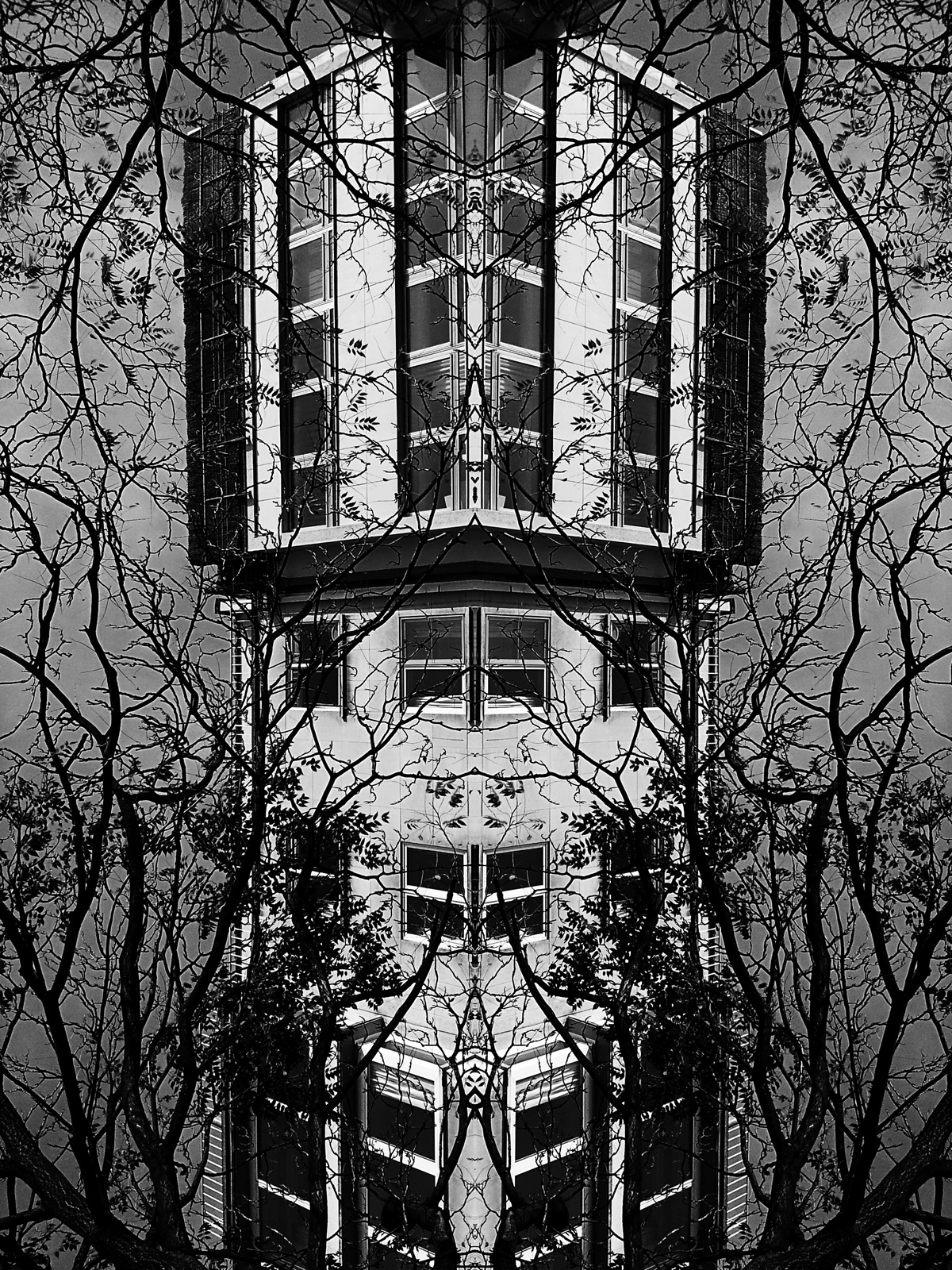 black and white symmetry manipulation house city art kristina gentvainyte lithuania belgium