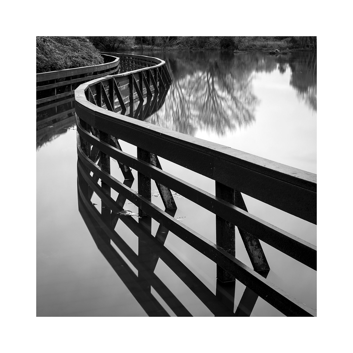 Landscape Photography  photographer Nature monochrome black and white