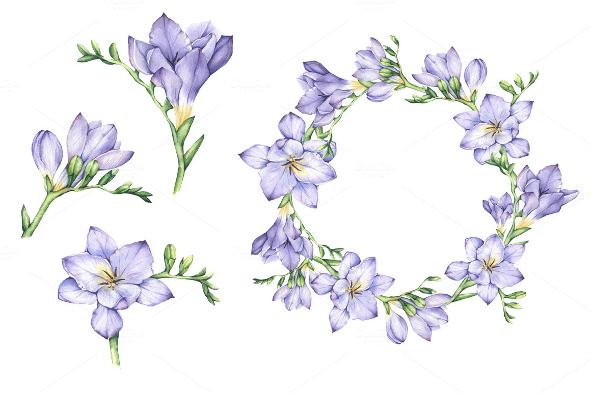 freesia flower wedding Invitation card floral botanical botany purple romantic buy element design Love petals