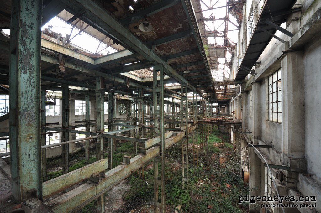 abandoned industry Italy Photography  pigeoneyes Sugar Factory