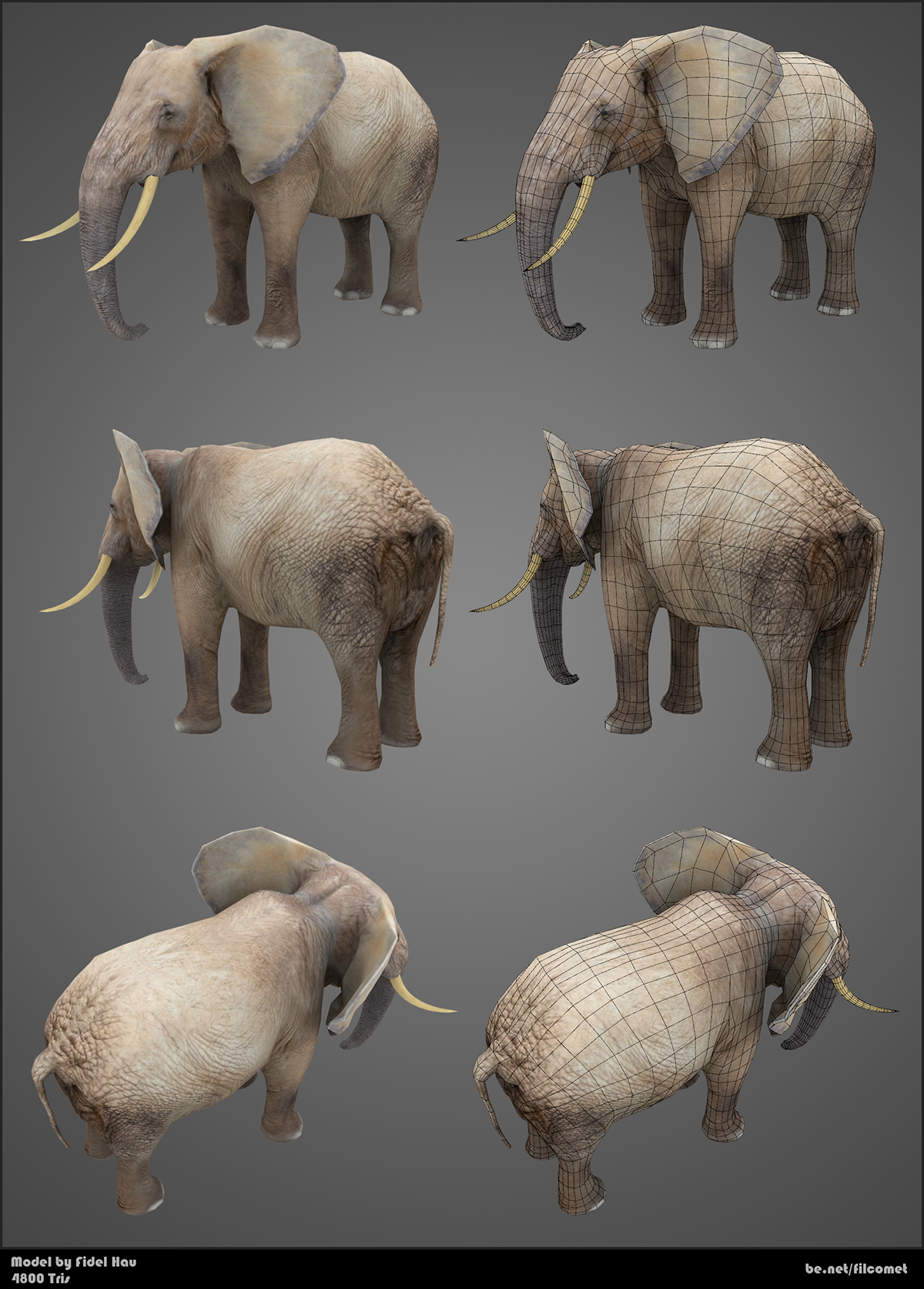 elephant 3D animals zoo augmented reality dolphin tiger africa desert lowpoly mobile game app texturing prop Game Art