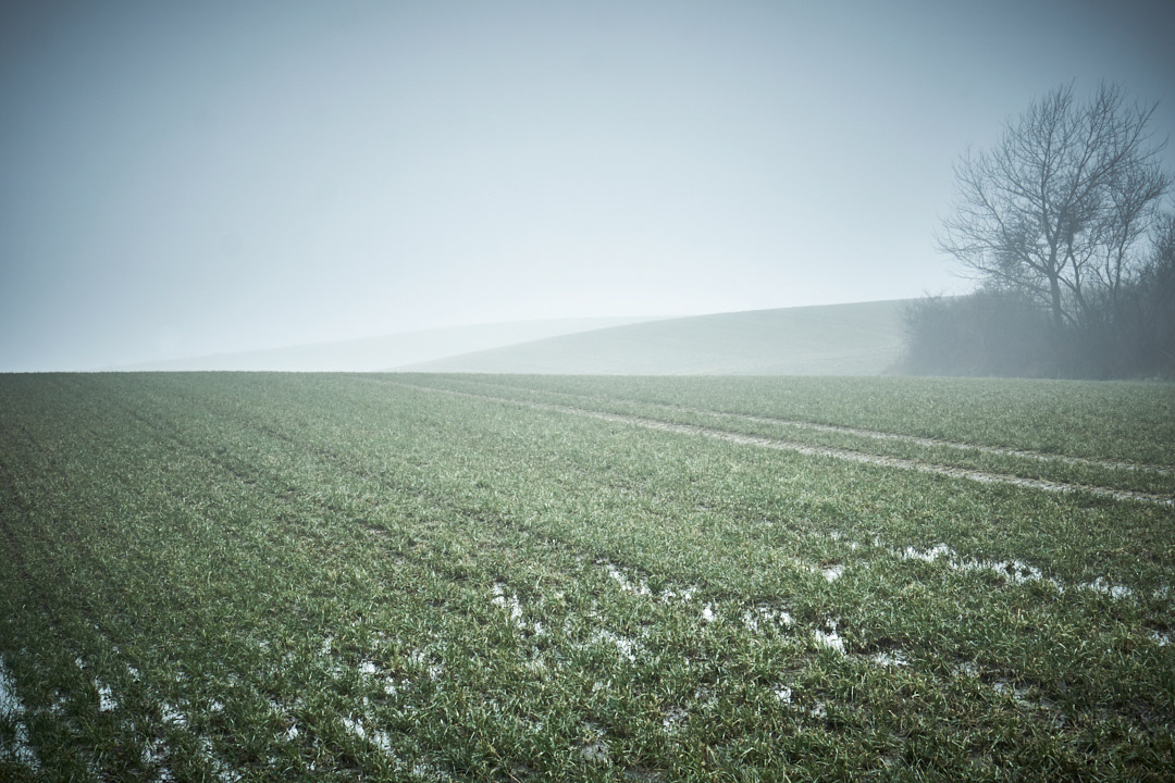 Nature fog denmark rural are Landscape