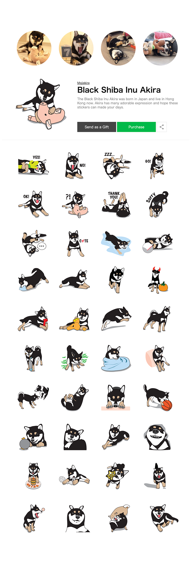 LINESTICKERS shibainu dog graphic characterdesign