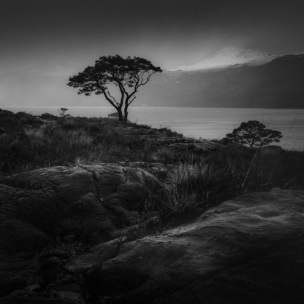 black & white fine art fineartphoto graphic Highlands Landscape minimalist Photography  scotland Nature