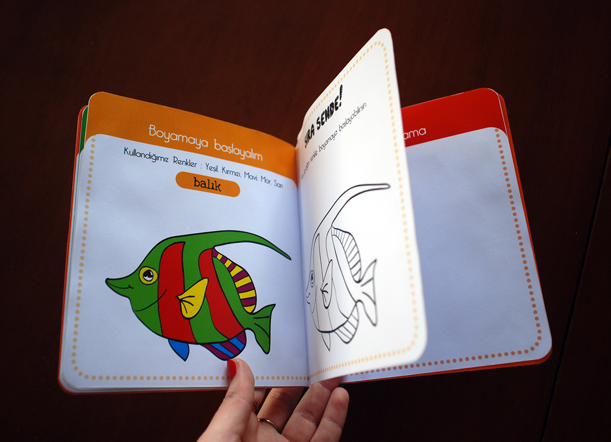 Airlines plane  airplane  anka  airways  branding  corporate identity  bird  Illustration  child book  book
