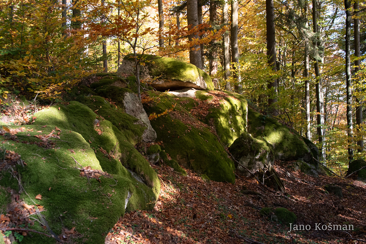 Adobe Portfolio Ysperklamm Janokosman austria österreich Nikon NIKOND5600 Nature Landscape hiking tourism niederösterreich Driuds