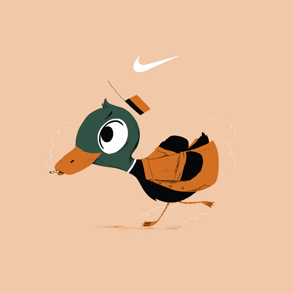 Cel Animation duck frame by frame istanbul minneapolis minnesota Nike shoes Turkey Ugly duckling