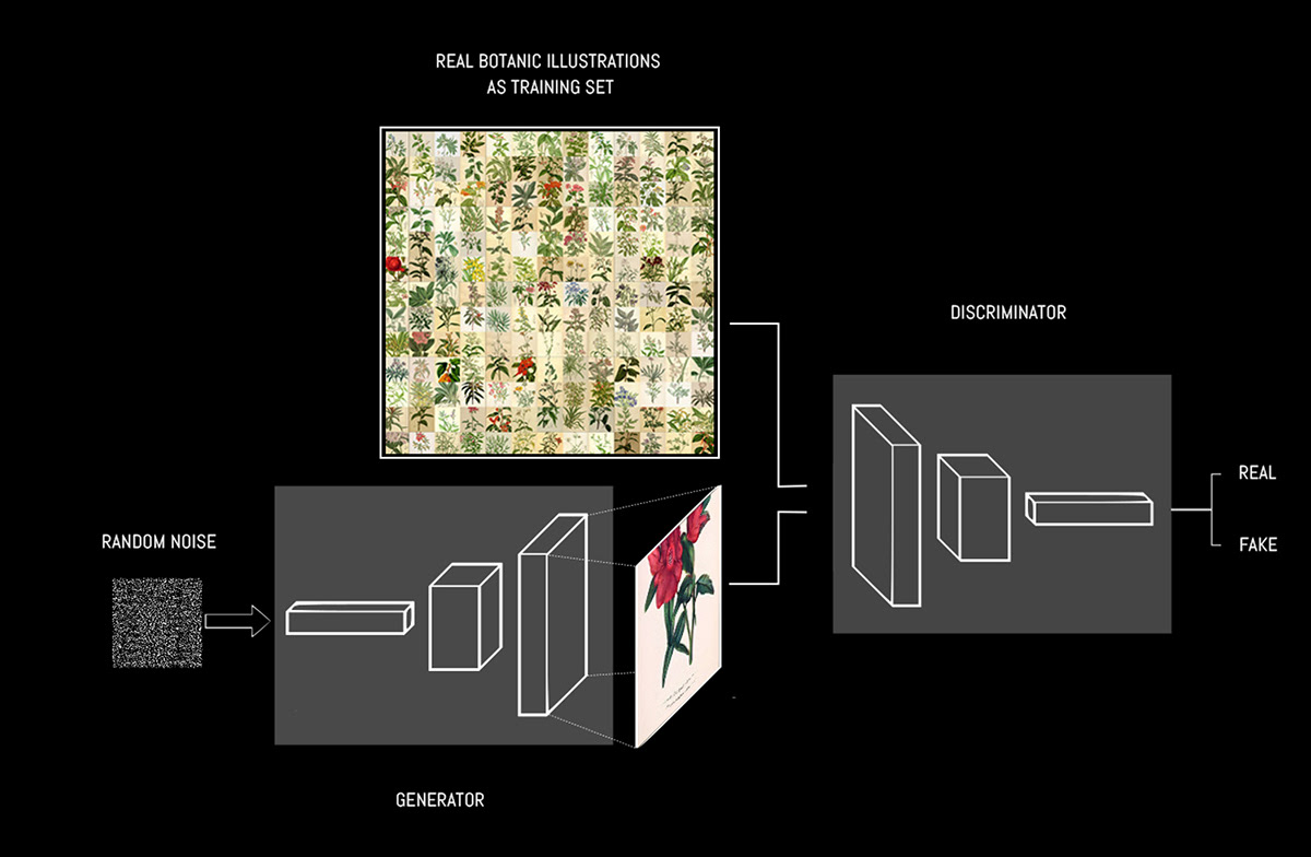 ai artificial intelligence botany GaN machine learning Neural Networks real time