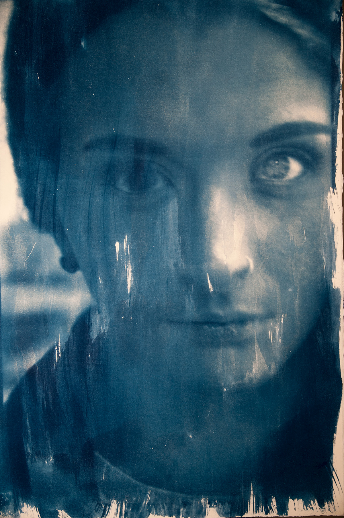 cyanotype Van Dyke digital negatives