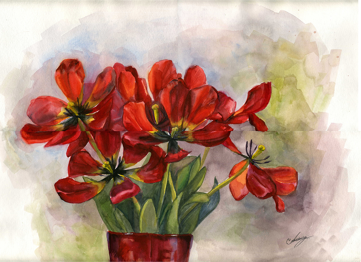 tulips water-colour