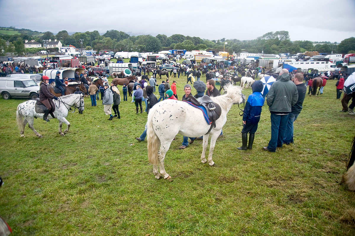 horses irish fairs festival Ireland Puck fair parade families field traders farmers ANNUAL boys Racing jockey's pride foal ponies pony horse Hunters jumpers trade
