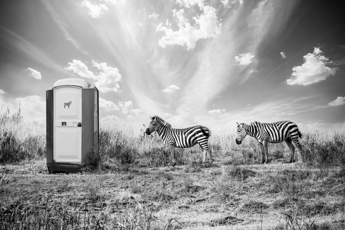 hakuna Matata girafes elephant zebra africa savane black and white noir et blanc dreamlike