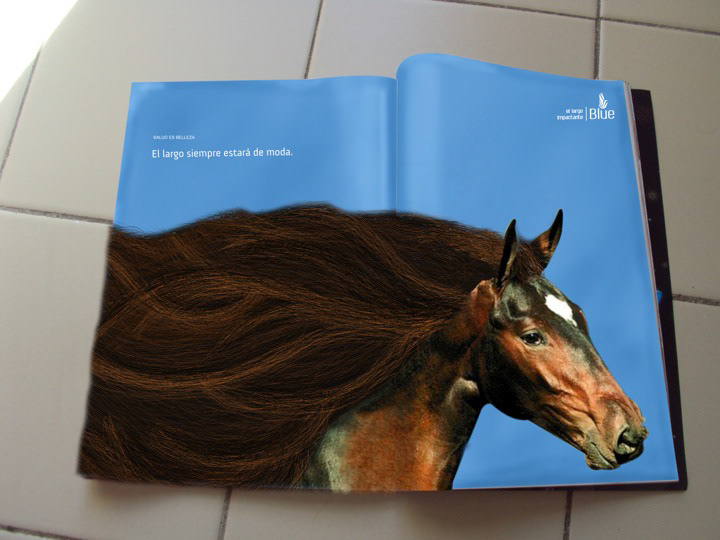 rolando angulo udem cabello hair animal shampoo