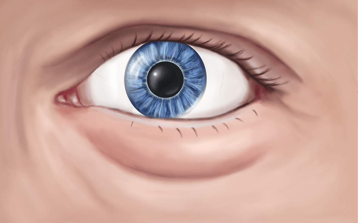 #medicalillustration eye #photoshop #eyeanatomy #presbyopia