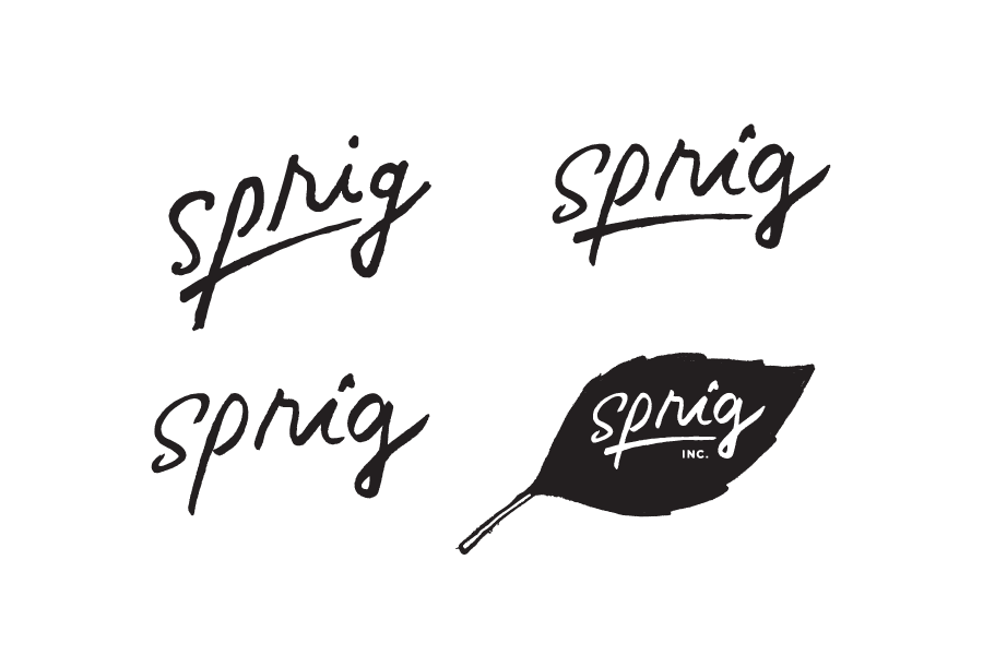 lettering type Logo Design Logo illustration