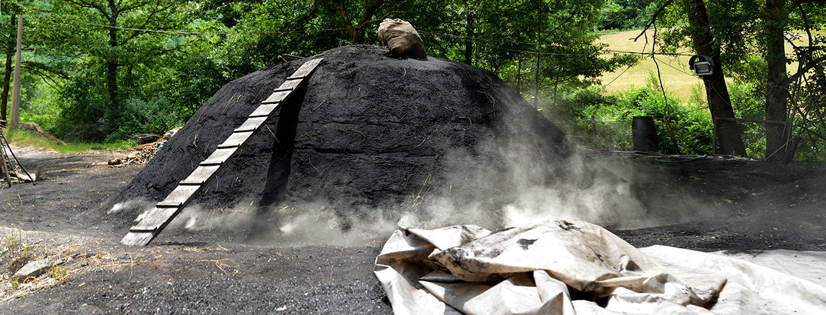coal tipical production old man carbone Montefeltro marche Nature smoke black green lavorazione tipica artigianato antichi mestieri carbon
