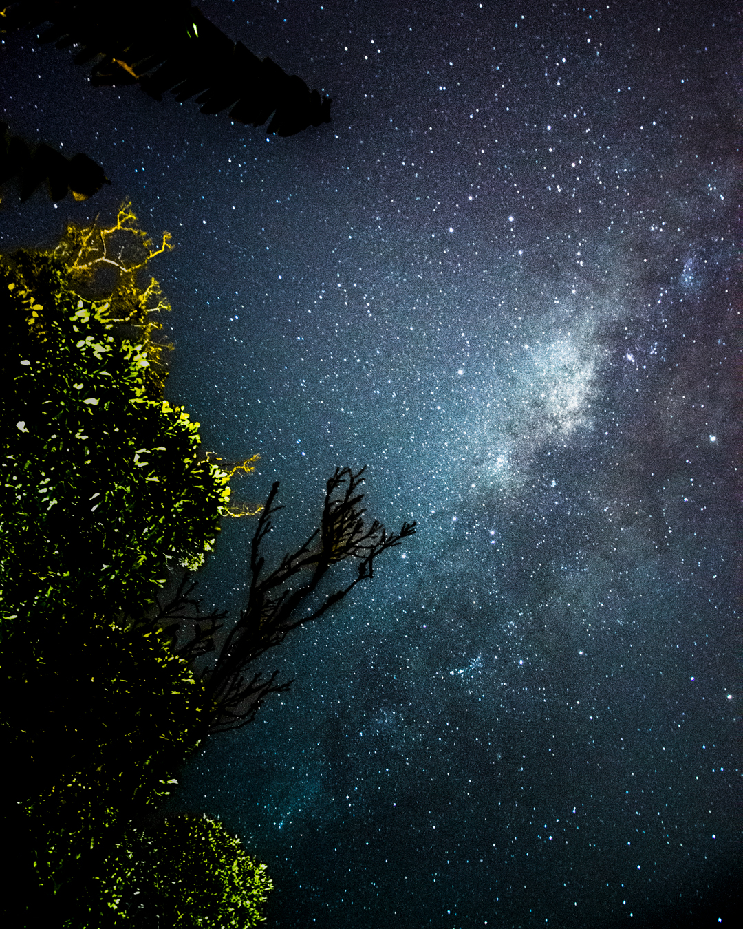 milkway astrophotography Photography  astrophotographer SKY star stars astronomy longexposure galaxy