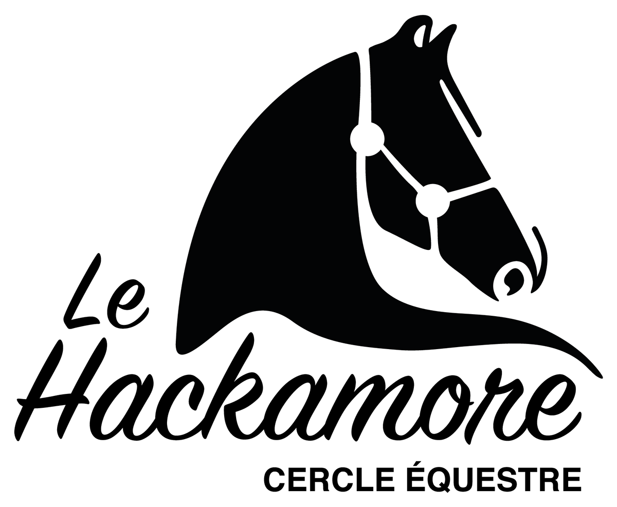 cheval chevaux flyer timon Hackamore logo