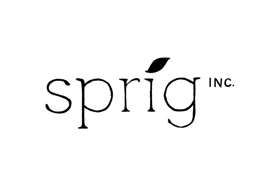 lettering type Logo Design Logo illustration