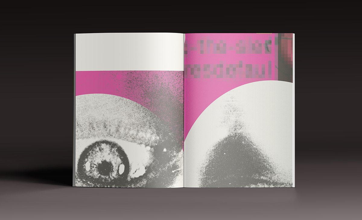 Adobe Portfolio publication magazine poster reality realité design print