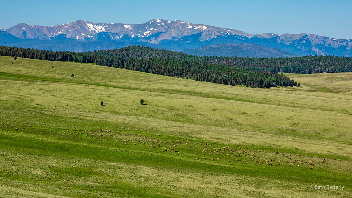 Landscape Nature outdoors valley mountain elk forest SKY Meadows