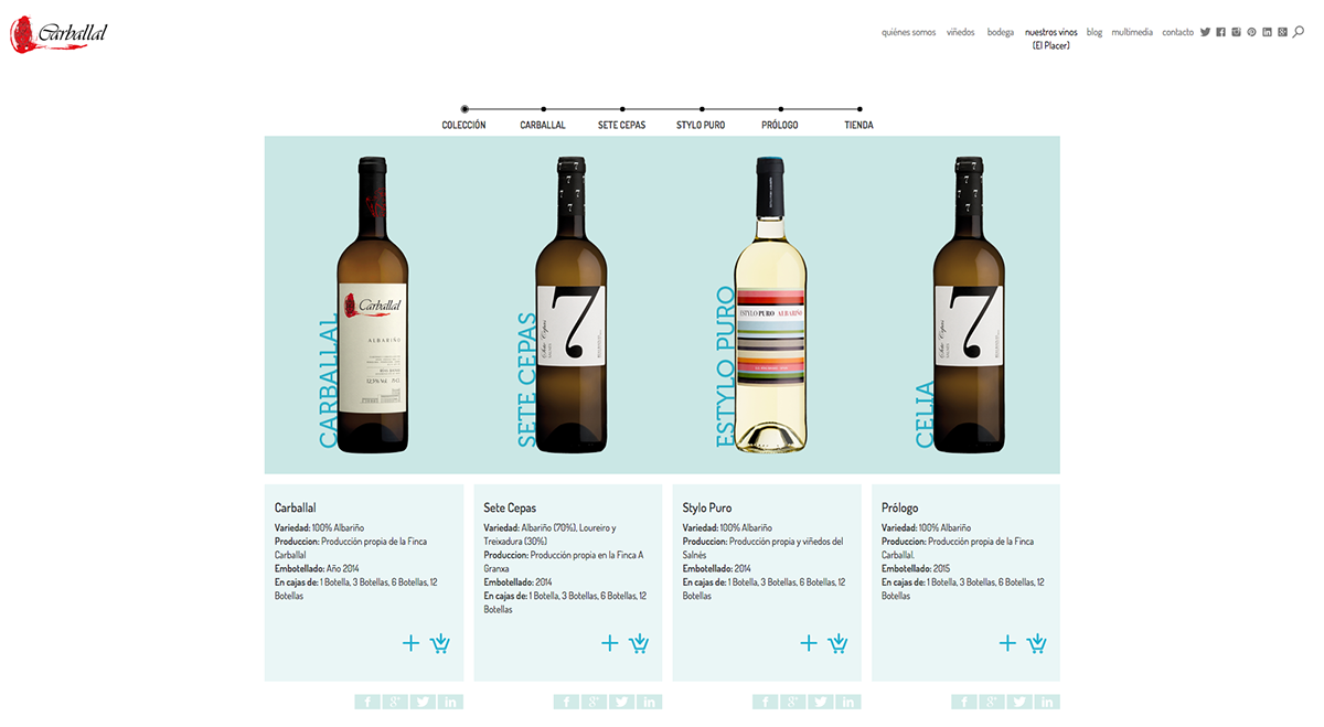 wine Website White Wine Galicia Rias Baixas drink