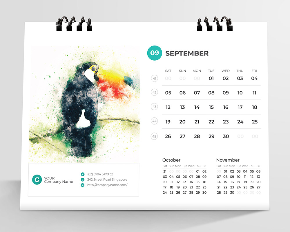 12 color version 12 month page brand business calendar clean corporate cover CALENDAR 2020