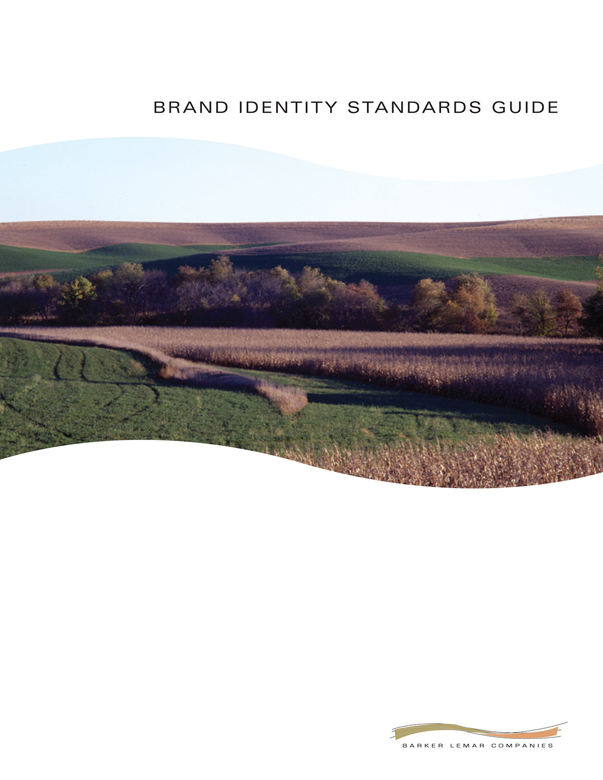 Branding Standards Guide