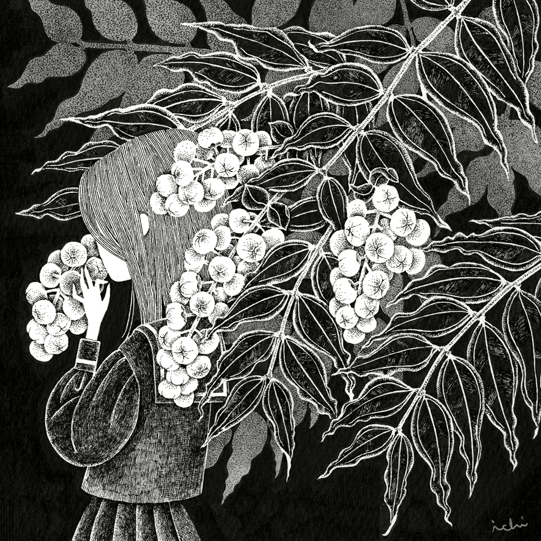 black and white pendrawing ILLUSTRATION  flower dark black pen monochrome poison