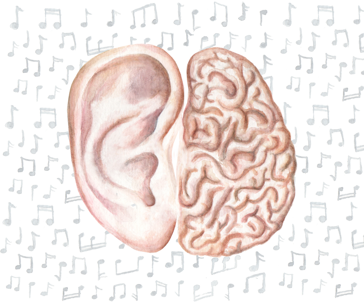 brain tune mind workout knowledge play instrument notes ear listen
