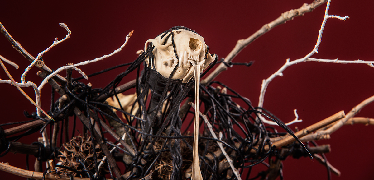 #skull #totem #figure #shamanism #sculpture #statue #Witch #Witchcraft #magic #DarkArt #mystic #photography #Occult #truedetective #horror  