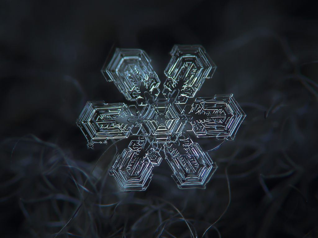 snowflake macro photo
